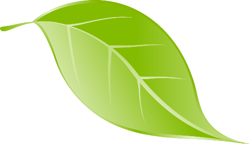 Leaflet